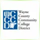 Wayne County Community College District - Environmental School Ranking