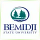 Bemidji State University - Environmental School Ranking