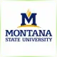Montana State University - Environmental School Ranking