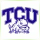 Texas Christian University - Environmental School Ranking