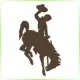University of Wyoming - Environmental School Ranking