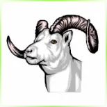 Little Big Horn College